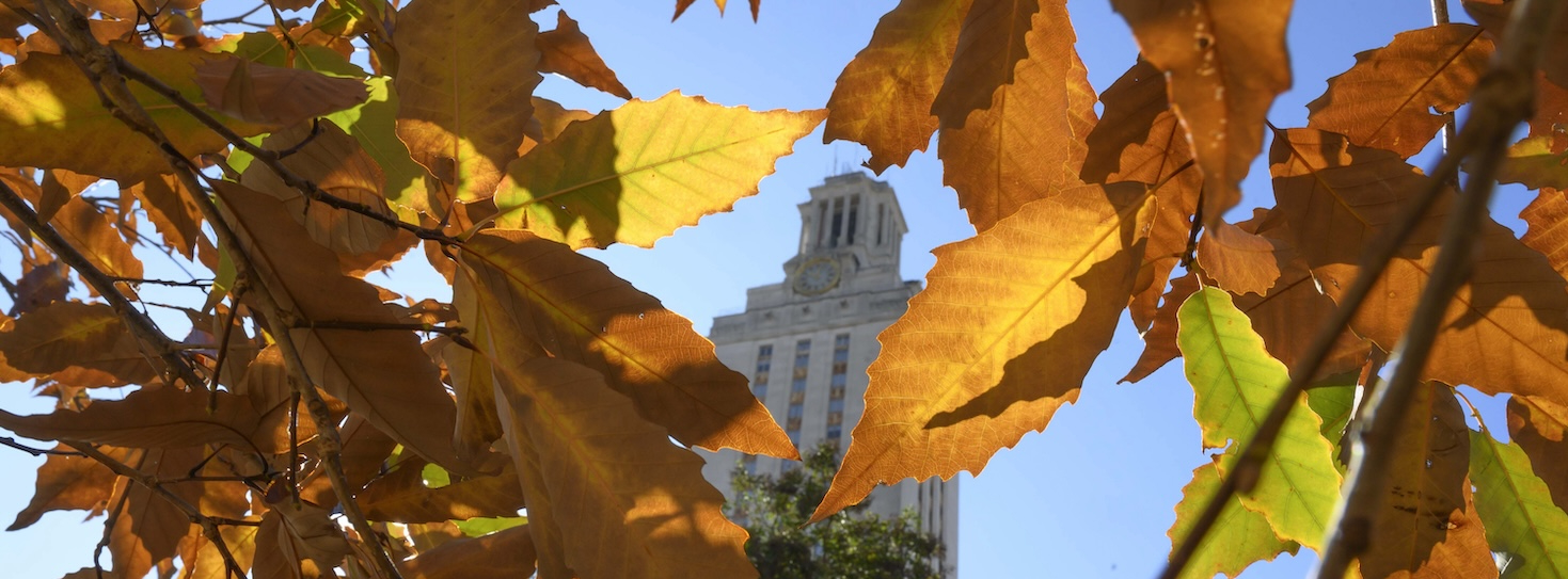 The Tower at UT Austin with fall color leaves in foreground