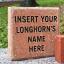 Photo of 8 by 8 brick paver with "Insert Your Longhorn's Name Here" engraving text