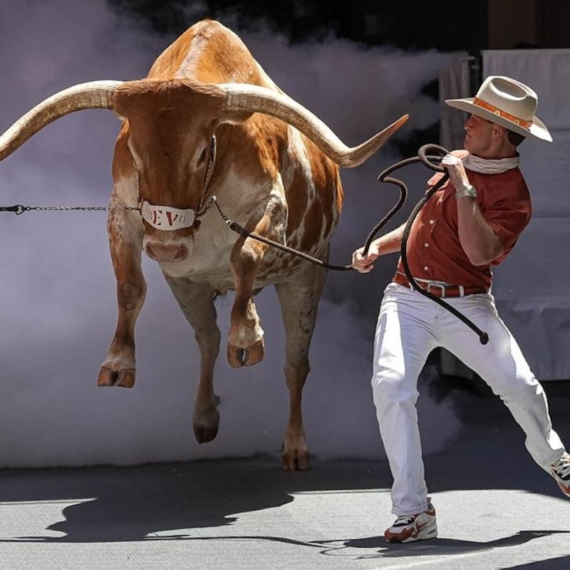 Bevo the Longhorn jumping between Two Texas wranglers with smoke in background