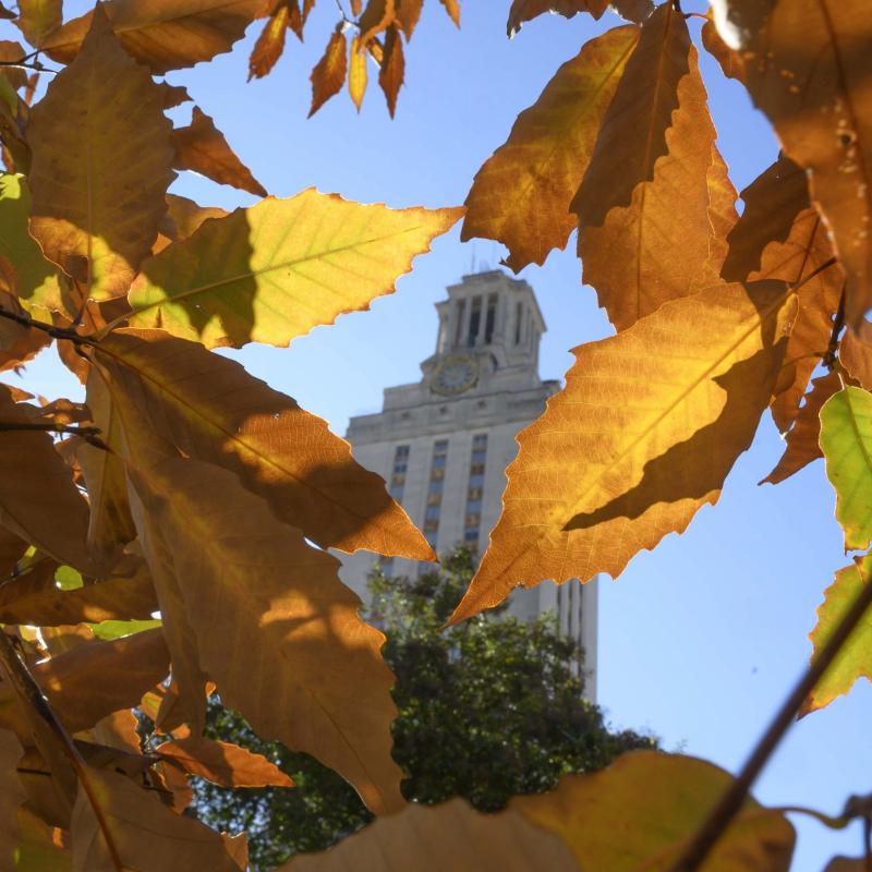 The Tower at UT Austin with fall color leaves in foreground